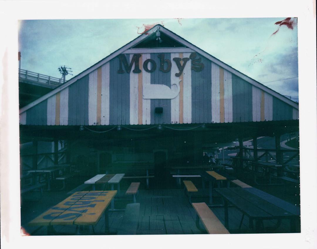 Moby's #worldinstantphotoday #polaroid250 #type669 #filmphotographic
