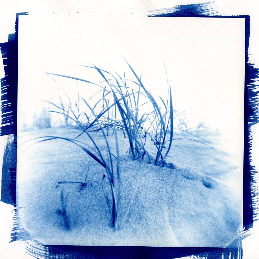 Sea Grass. Shot on Sandy Hook in NJ in 2009 on Ilford Pan-F with a Kodak Brownie Hawkeye Flash with a flipped lens. Printed as a 7x7 digital negative on an Epson 3880 and exposed in a contact frame for 9 minutes as a cyanotype on Bergger COT 320. #cyanotype #film #filmphotographic #filmsnotdead #ilfordpanf #altprocess