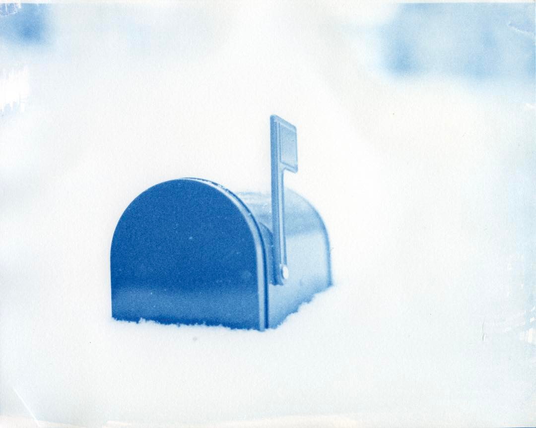 It's been snowy. This was shot a while ago, and printed as a cyanotype, but it's kinda like this now. #film #filmsnotdead #cyanotype #filmsnotdead #filmphotographic #altprocess