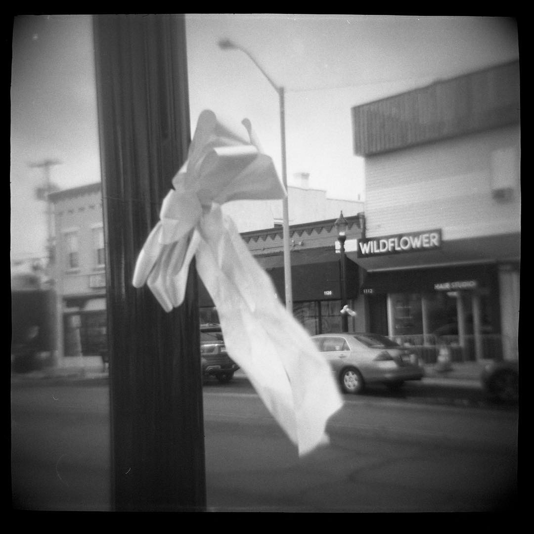 Pink ribbon. This is the negative scan that I used to create the digital negative for the cyanotype I just posted. #diana #toycamera #trix #filmphotographic #film #trix filmsnotdead #filmphotography