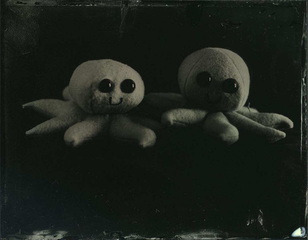 Luna and ArtieB. 
I brought some toys from home for still lifes for the wet plate collodion workshop @penumbrafoundation last weekend. These ð are the mascots of a belly dancing conference my wife goes to. 
Old Workhorse collodion, some Modern Schneider-Kreuznach 210mm lens I was unfamiliar with (not a Symmar-S), continuous lighting, 15 second exposure. #wetplate #wetplatecollodion #tintype #film #filmphotography #filmphotographic