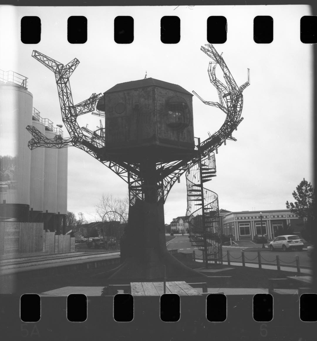 Treehouse, or scary monster? Kodak Instamatic 500 on @filmferrania P30 loaded in a Ferrania Solaris 126 cartridge. #film #filmphotography #filmphotographic #126 #126film