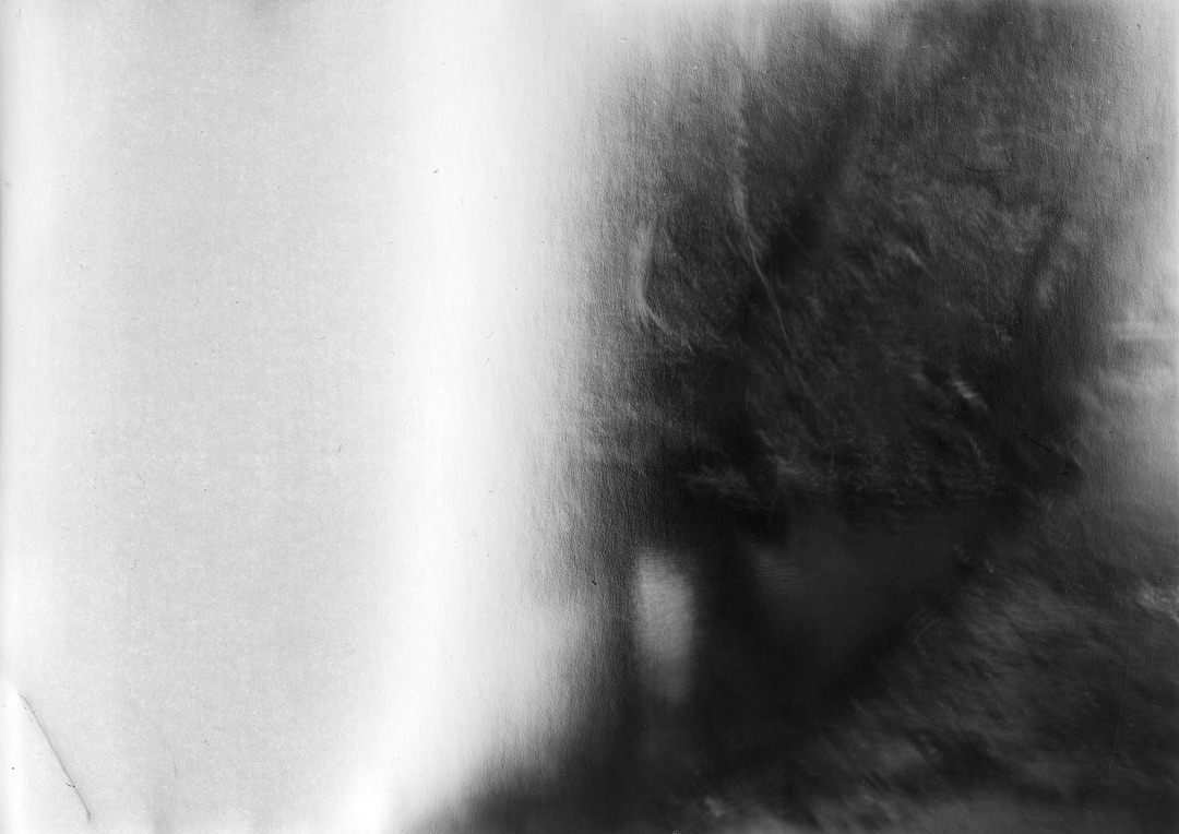 Creek.

First shot from the vintage 1902 Century No. 5 I bought in St. Augustine a couple of weeks ago. This is shot in my back yard on 5x7 Ilford Direct Positive paper, because Iâm not set up yet to develop 5x7 film. I think the reason the left half is completely white is that the sheet fell out of the holder and into the camera when I reinserted the dark slide and fell ins funny shape that caused part of it to be completely overexposed when I retrieved the sheet. And itâs blurry because I wasnât using a tripod for a roughly 3 second exposure. Even with all that, I love it. 
I hope to get a better idea of what the lens can do with a couple of shots I took this afternoon. 
#film #filmphotography #filmphotographic #paper #largeformat #largeformatcamera