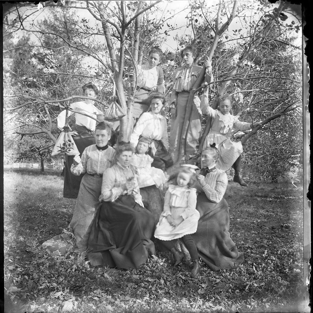 No notes on this one, either. Negative only, no print, another one of the oddball 4.25 x 4.25 plates. Most of the photos in this archive are of the women in the family. I assume this must have been taken at a holiday gathering. There are at least two sets of siblings in here just judging by the looks and dress.

#dryplate #dryplatephotography #dryplatenegative #film #foundphoto #foundphotos #garnerfamilyarchive