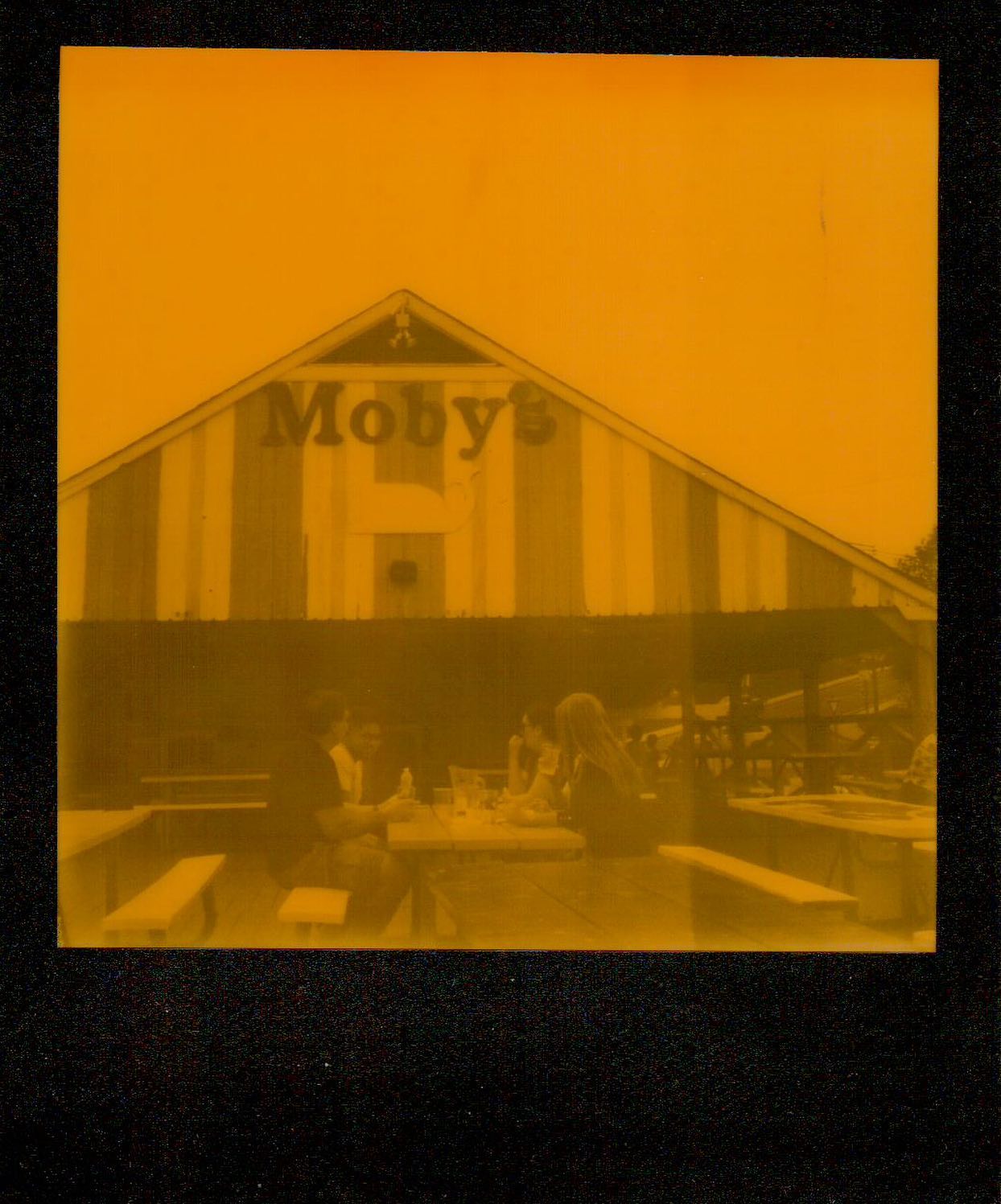 Mobyâs

Probably the best of a pack of Orange & Black duochrome film I shot in the SLR-670. #mintcamera #polaroid #impossibleproject #slr670 #slr670s #film #filmphotography