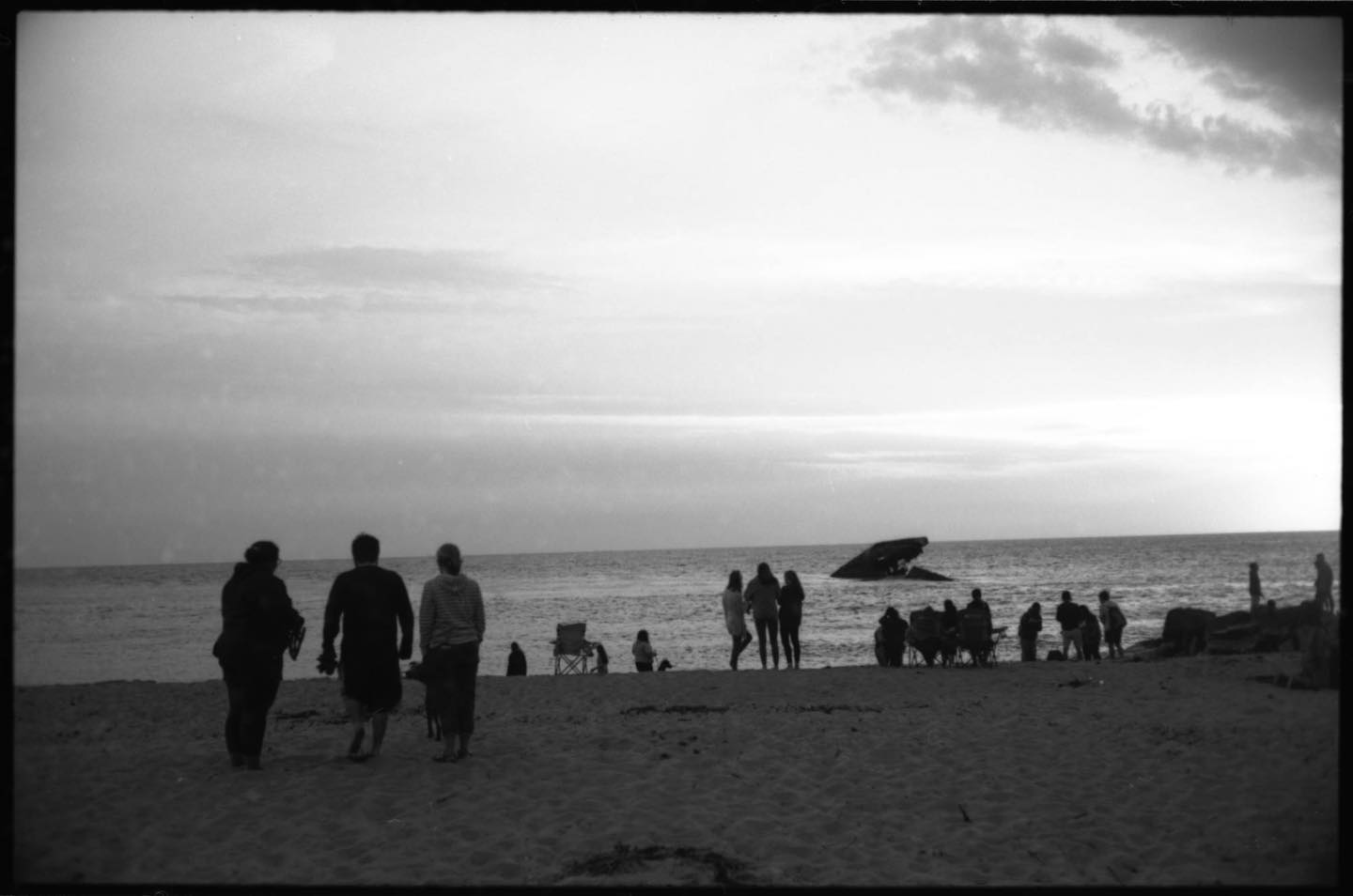 Sunset. Shot at Sunset Beach in Cape May Point, NJ, with a Canonet QL17 GIII. #rollfilmweek #rollfilmweek2019 #film #filmphotography