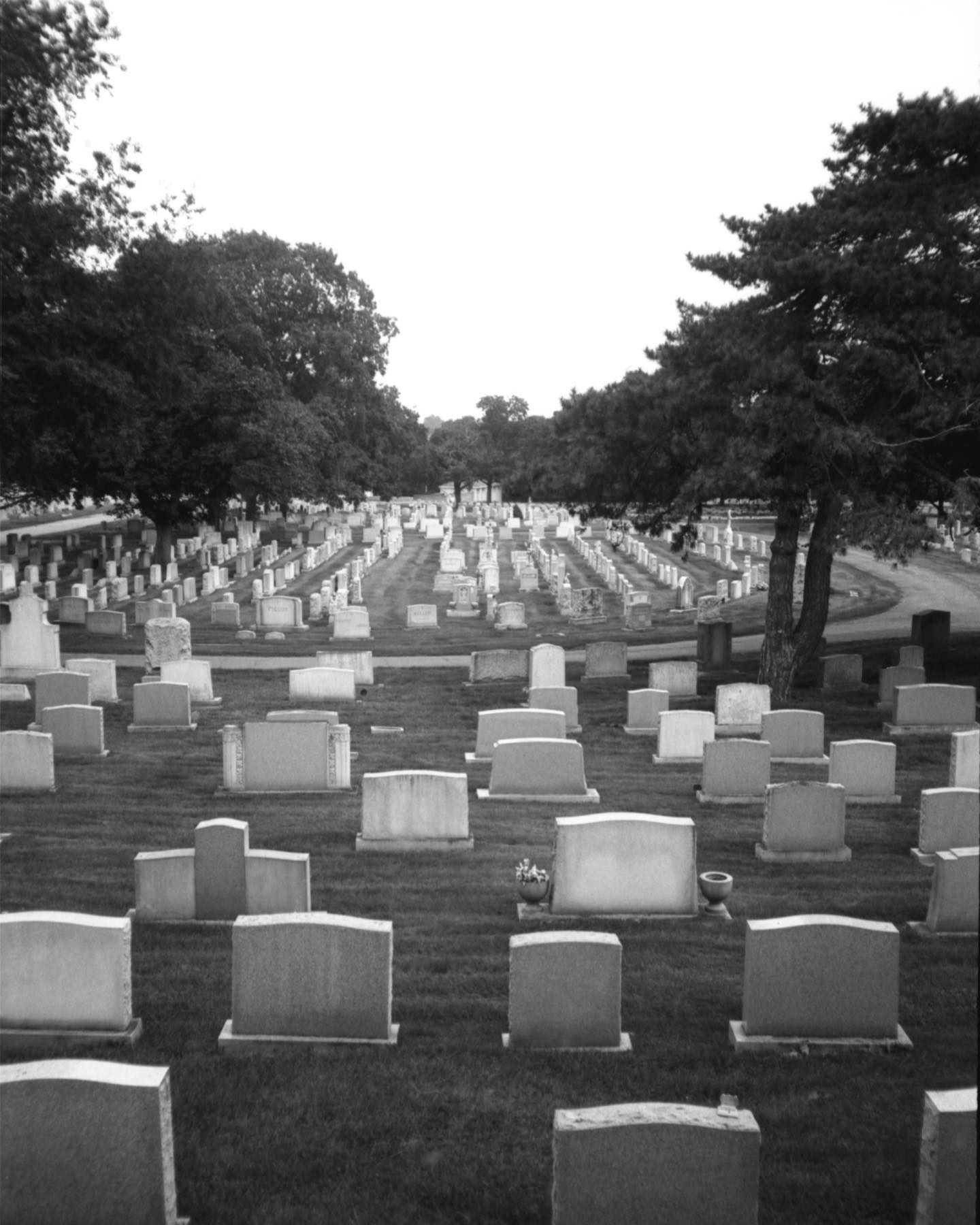 Calvary Cemetery, Paterson, NJ

#olympusxa #p30film #rodinal #cemetery #tombstones #film #filmphotography #filmphotographic #staybrokeshootfilm