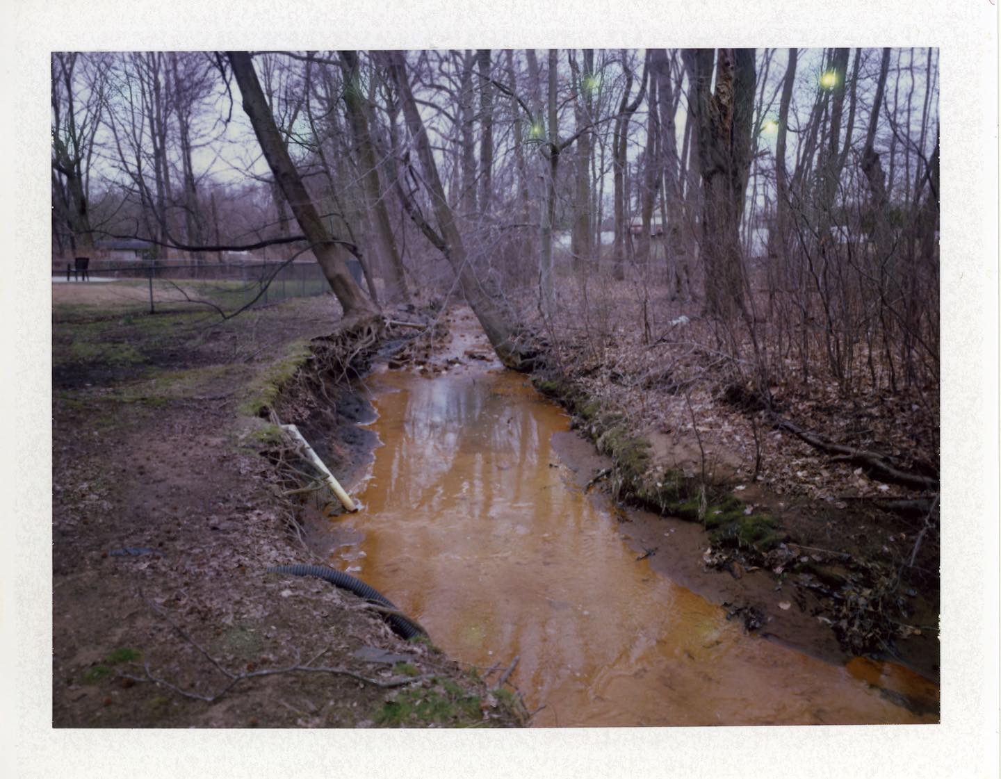 Mill Brook

I needed to get a Mamiya Press lens for the @cameradactyl Brancopan that Iâm building, and I wanted a wide one to accentuate the panoramic nature of the shots that the camera is designed for. All the appropriate lenses I could find on eBay were like $300 apiece. Then there was a Mamiya Press Universal camera on the site that had a 75mm lens attached. The price? $300. So it was like getting the camera for free. It came with a Polaroid back, so when it showed up today, I loaded it with some Fuji FP-100C and went into the backyard for a few minutes. Camera seems to work just fine. #film #polaroid #packfilm #fp100c #filmphotography #staybrokeshootfilm