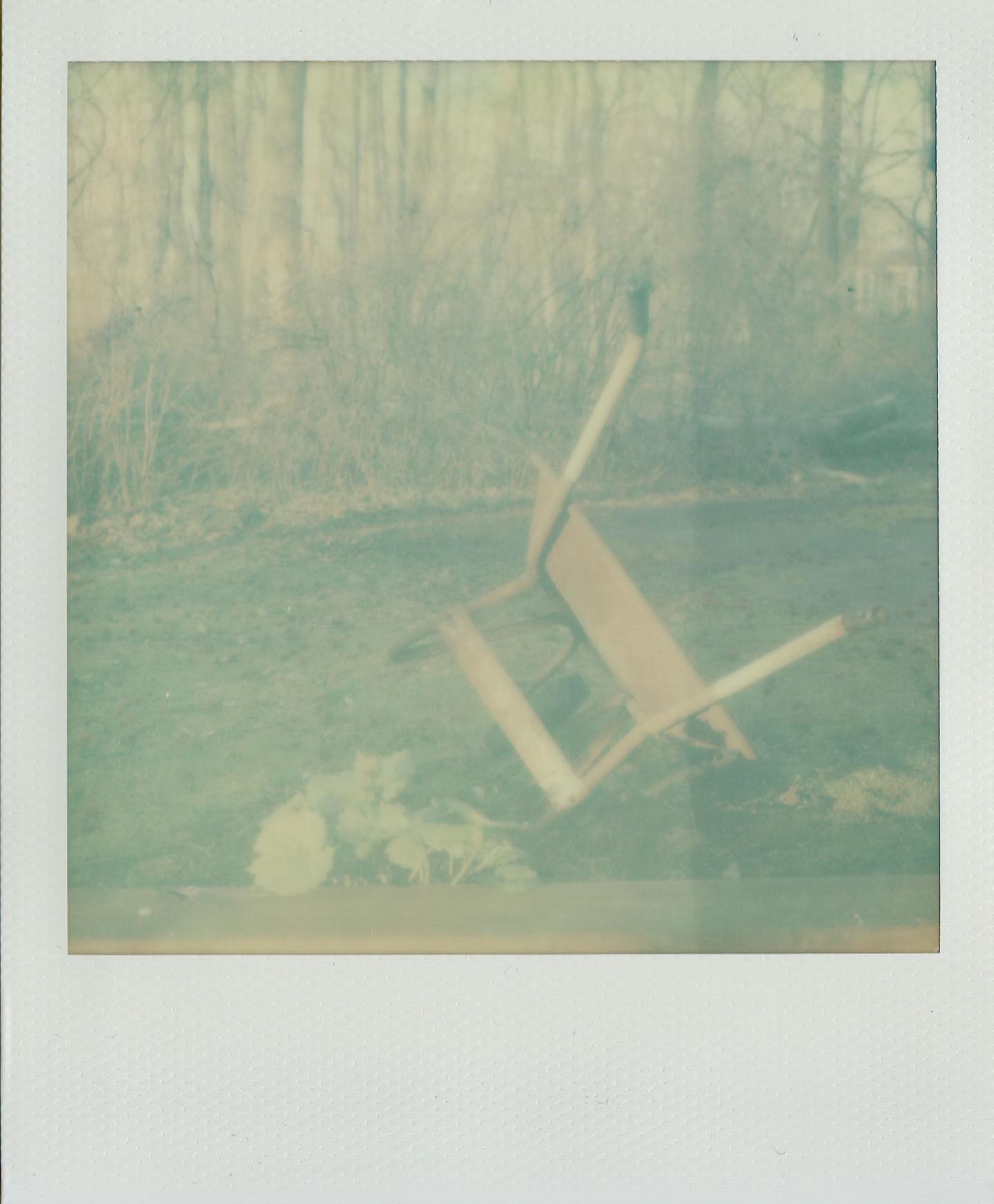 Wheelbarrow 
Shot on long-expired (05-2016) Impossible Project Pioneer film 600 Color GEN 2 with my @mintcamera SLR-670S. Shooting a lot around the house and yard during these #quarantinedays #polaroid #impossibleproject #impossibleprojectfilmbeta #impossibleprojectfilm #film #filmphotography