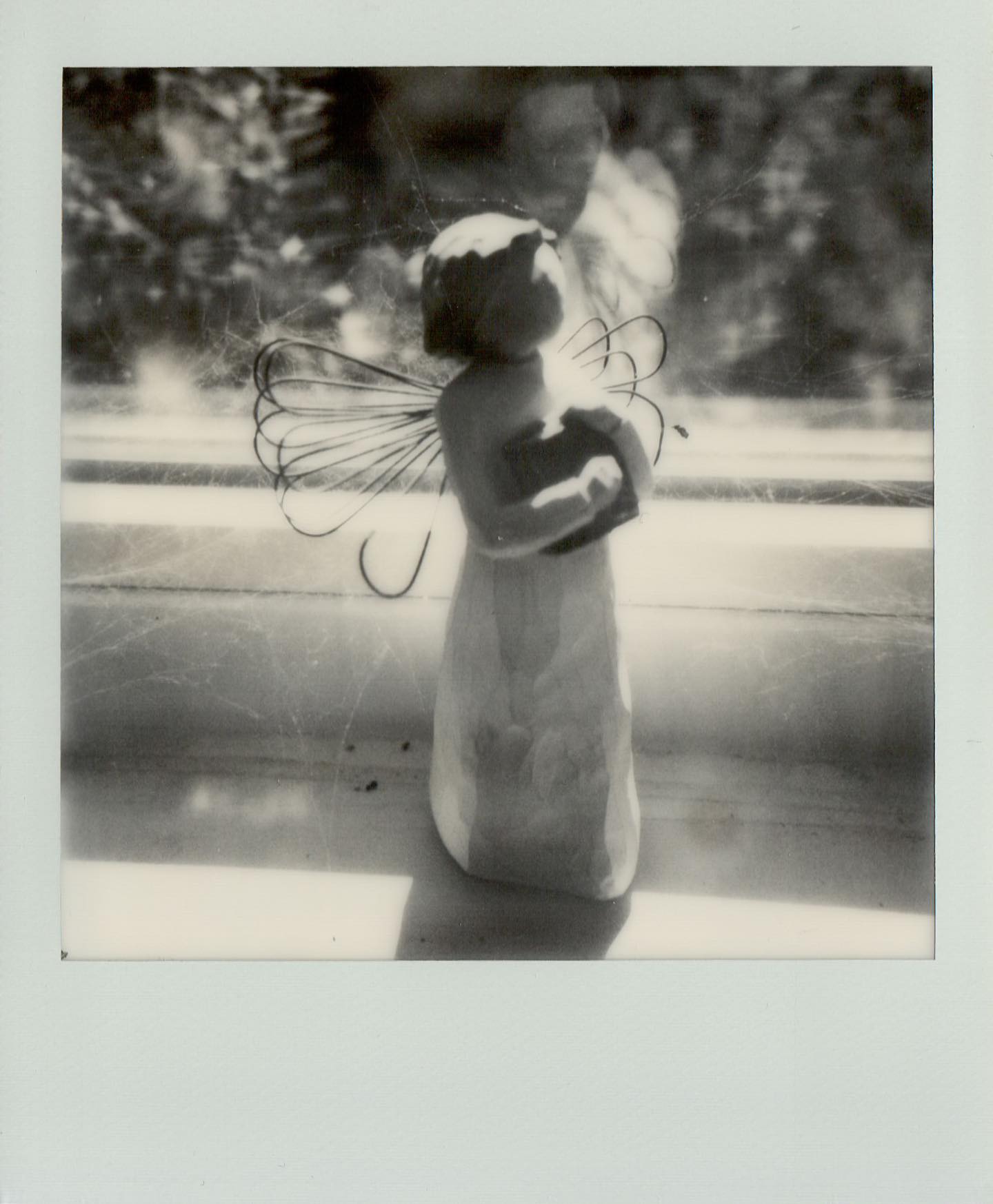 Angel

One of the best things about the SX-70 is how close it can focus. None of this 3-4 feet crap. No. 10 inches, or even closer if you have the close-up lens attachment. Makes it the perfect camera to use when the world is falling apart and you canât leave your house for fear of catching a deadly disease so you start looking to see if there are some little things around the house that you havenât noticed. So all my shots this week for #roidweek are going to be from my @mintcamera #slr670s, the best version of the SX-70 available. #polaroidweek2020 #polaroidweek #polaroid #mintcamera #film #filmphotography #fscpolaroid