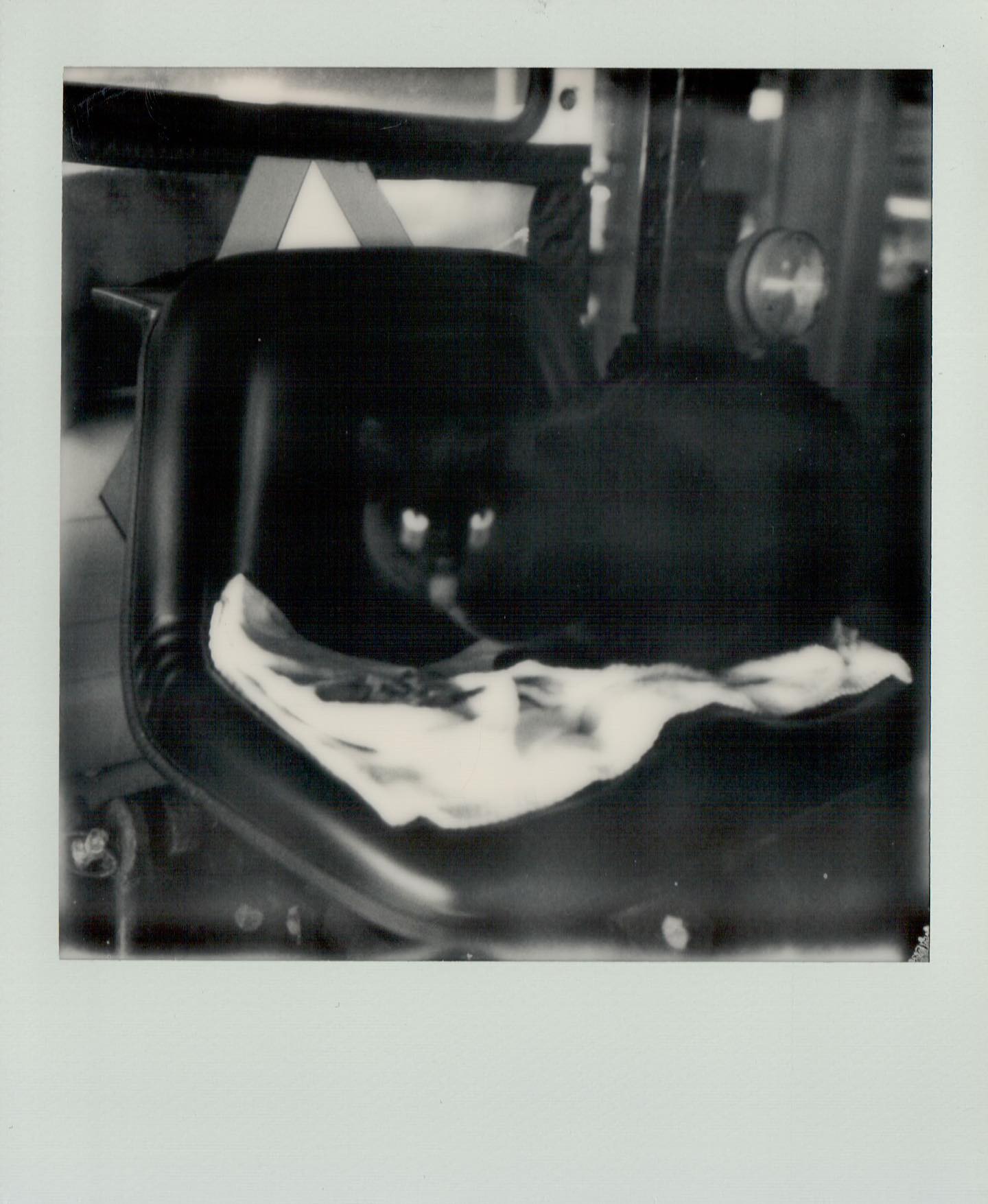 Blep 
My wife Laura is part of a team that takes care of a feral cat who lives in the parking garage at her work. With lockdown, the occasional short trips we make are a pleasant diversion, at least for us. Maybe not so much for Hope, who looks less than pleased to be captured eating treats on her construction equipment throne. #polaroidweek #polaroidweek2020 #roidweek #roidweek2020 #polaroid #film #filmphotography