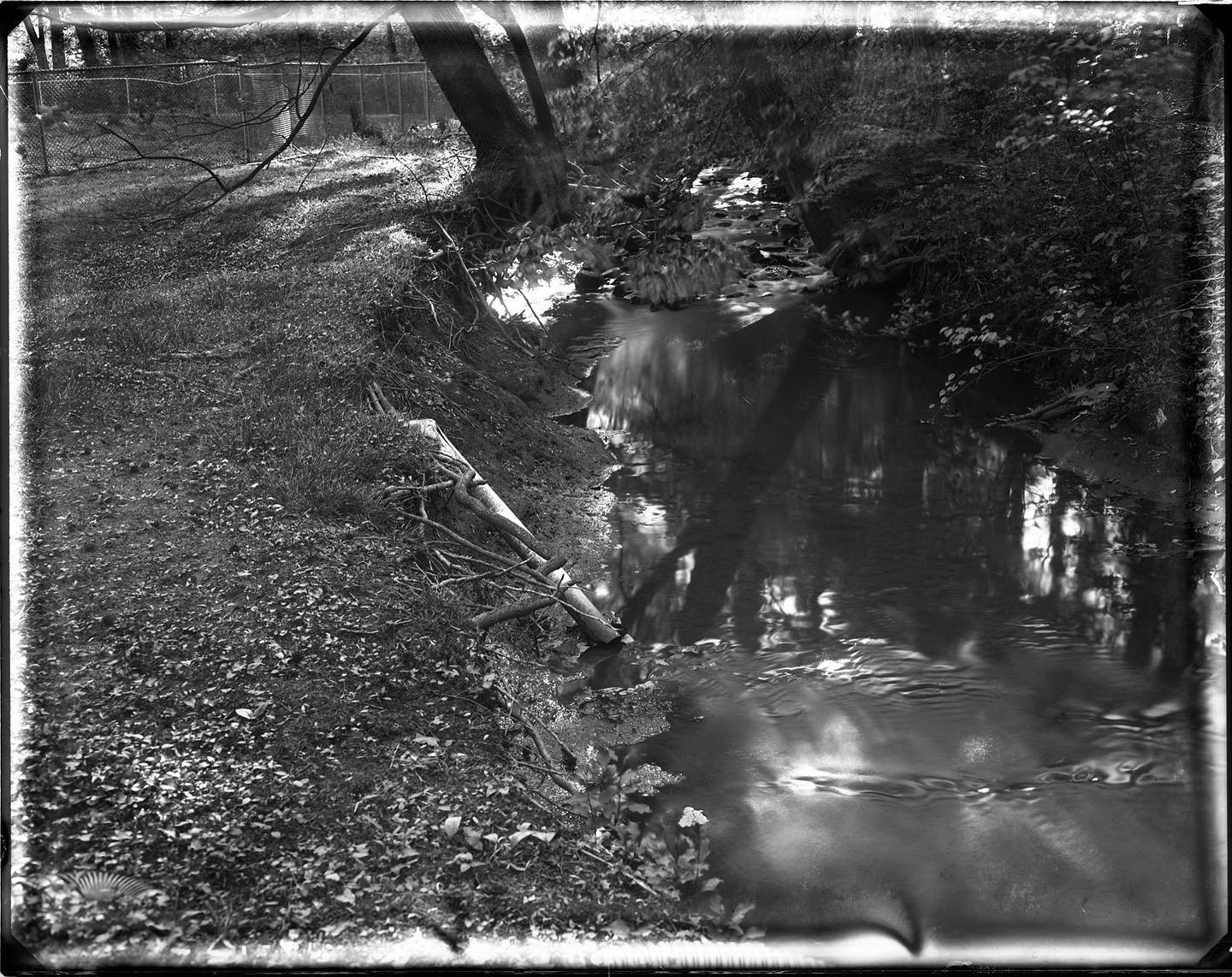 Creek

Shot yesterday in my back yard using the Speed Graphic, @pictoriographica Dry Plate, batch 11, expired April 2020, ISO 2. Exposed for 1:20, f/22. This was to test my @20thcenturycamera wet/dry plate holder. Pretty happy with how it came out. #dryplate #dryplatephotography #film #filmphotography #filmphotographypodcast #heyfsc #quarantine #quarantineart
