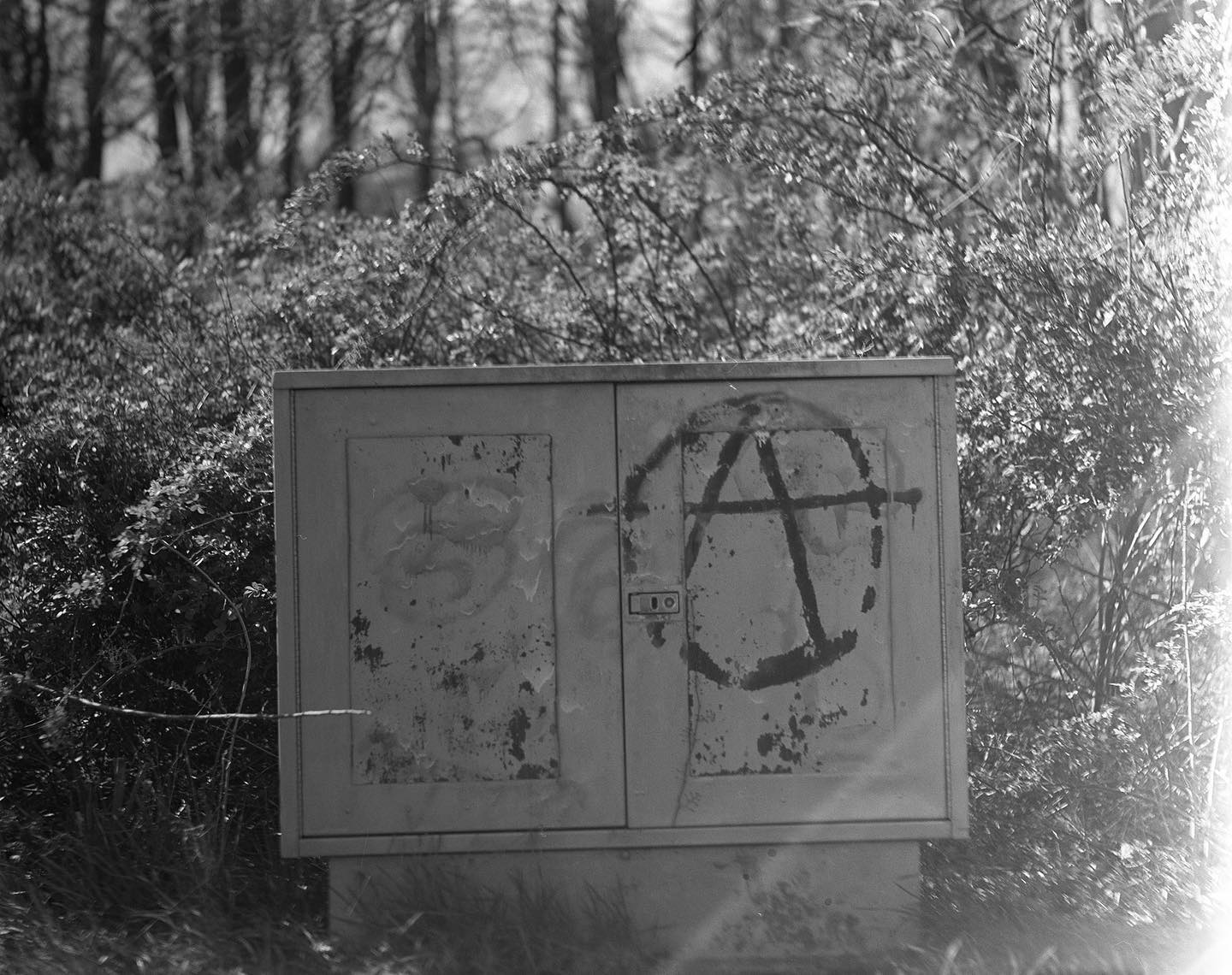 A

Verizon has a box on the edge of our property with a 110 block terminal or three inside. Someone decorated it a few years ago. Seemed like a good idea to shoot it during lockdown since I rarely leave the house any more and grocery stores and pharmacies arenât awfully photogenic. Shot on my 1923 Graflex RB Series B on Tri-X with a Grafmatic 1168 back. Looks like I have a light leak on the left side of the camera, so Iâll need to look at that. #film #filmphotography #filmphotographypodcast #heyfsc #largeformat #graflexslr #trix