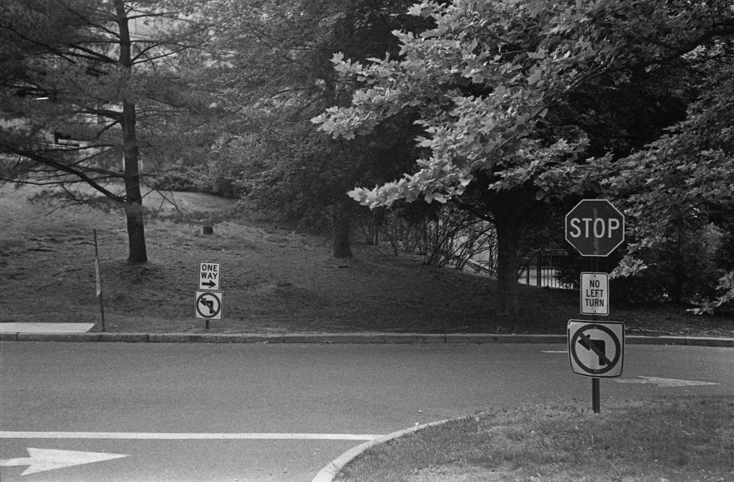 One Way No Left Turn

Roll Film Week day 1, 1/2. Shot with my 1936 vintage #contaxiii on #eastman5222 #doublexx and developed in #rodinal 1:50. #film #filmphotography #rollfilmweek #rollfilmweek2020